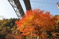 荒川キャンプ場