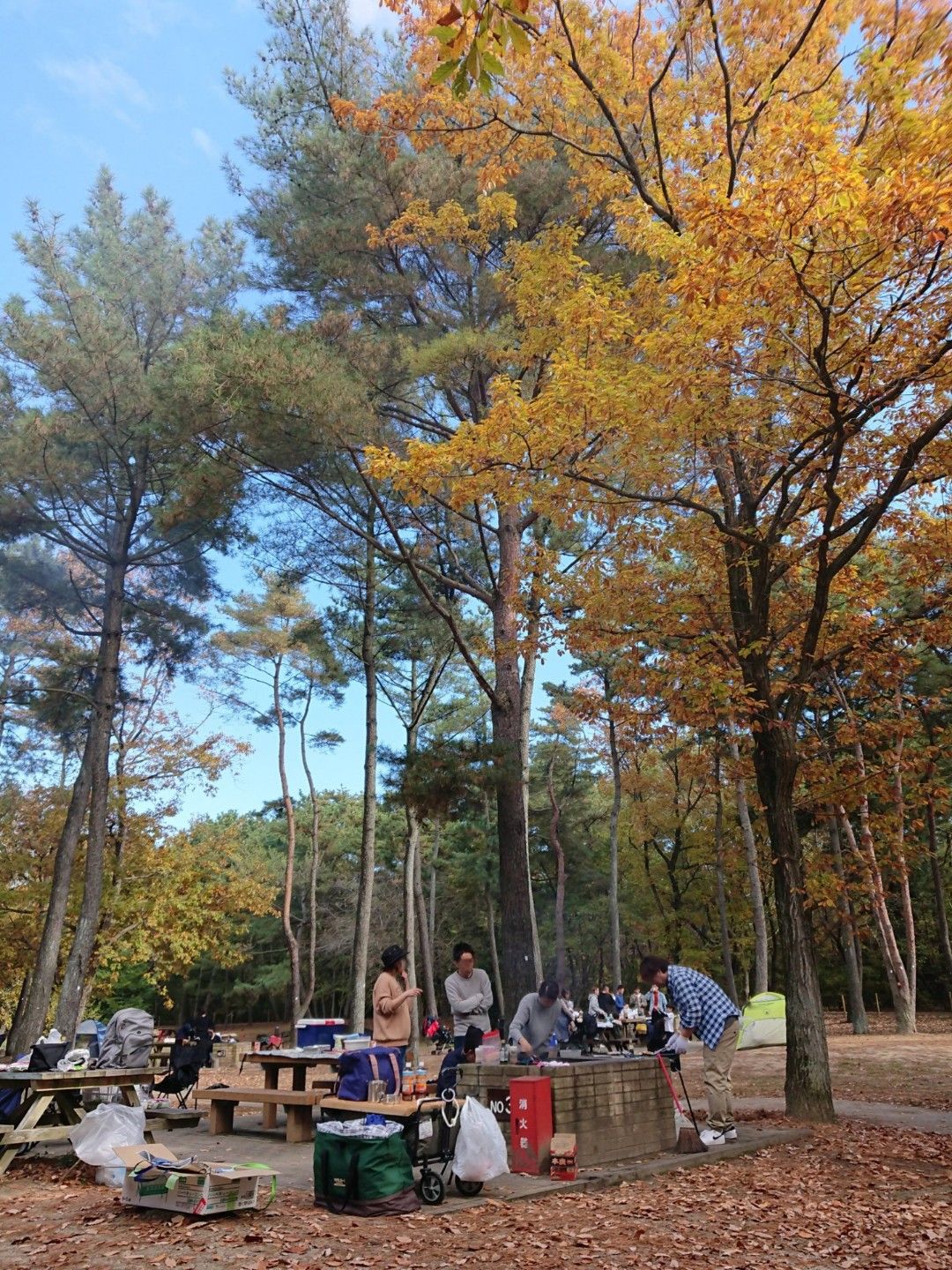 ひたちなか海浜公園 があるにもかかわらず 都道府県人気最下位 茨城県 その弐 大自然田舎天国 茨城県県北地区 山賊クラブ 山賊おどご塾 楽天ブログ