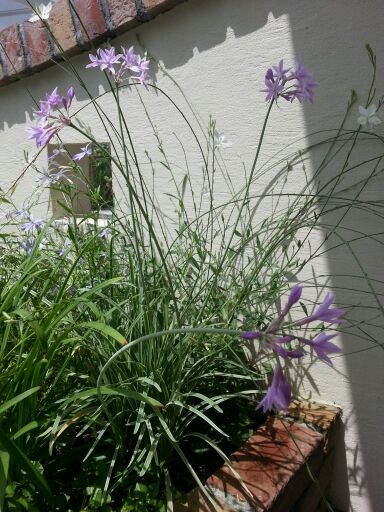 rblog-20140716132254-02.jpg