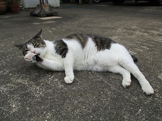 IMG_4974ss.jpg