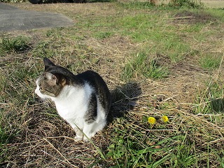 IMG_4522ss.jpg