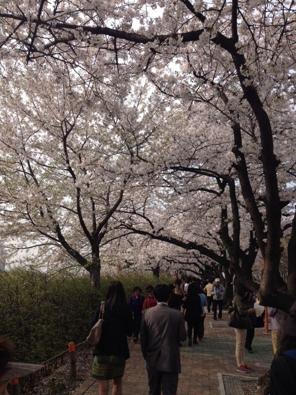 rblog-20140403141629-01.jpg