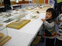 IMGP2602-215.jpg