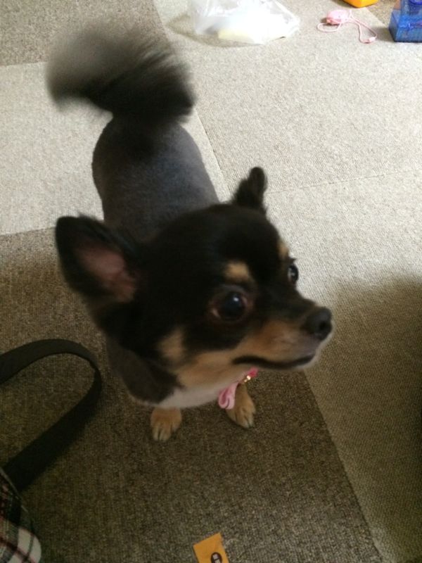 rblog-20140508233332-02.jpg