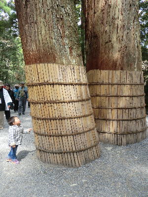 けいごん　in伊勢・鳥羽5