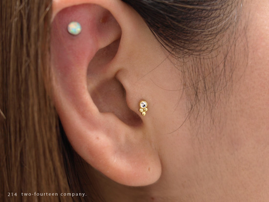 Prominent】ANATOMETAL／アナトメタル・ジュエリー | backroom 214