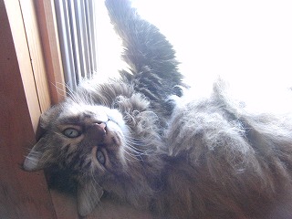 作業用画像その２ 290.jpg