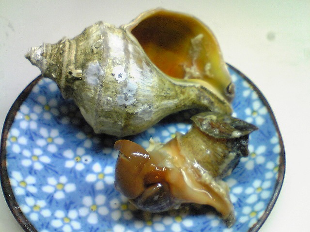 焼つぶ貝2