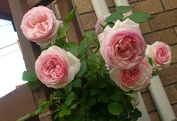 DSC_3892.JPG