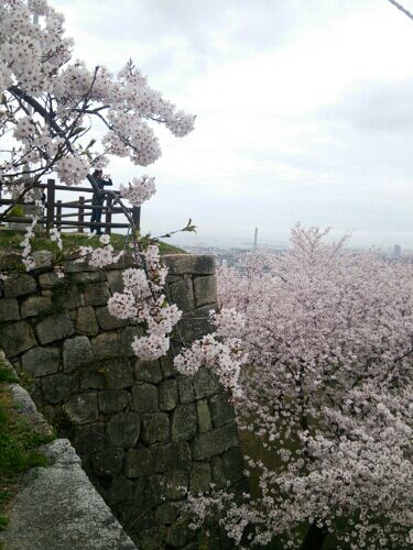 rblog-20160404195652-02.jpg