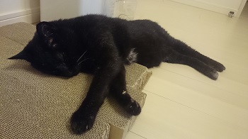 DSC_1423.JPG