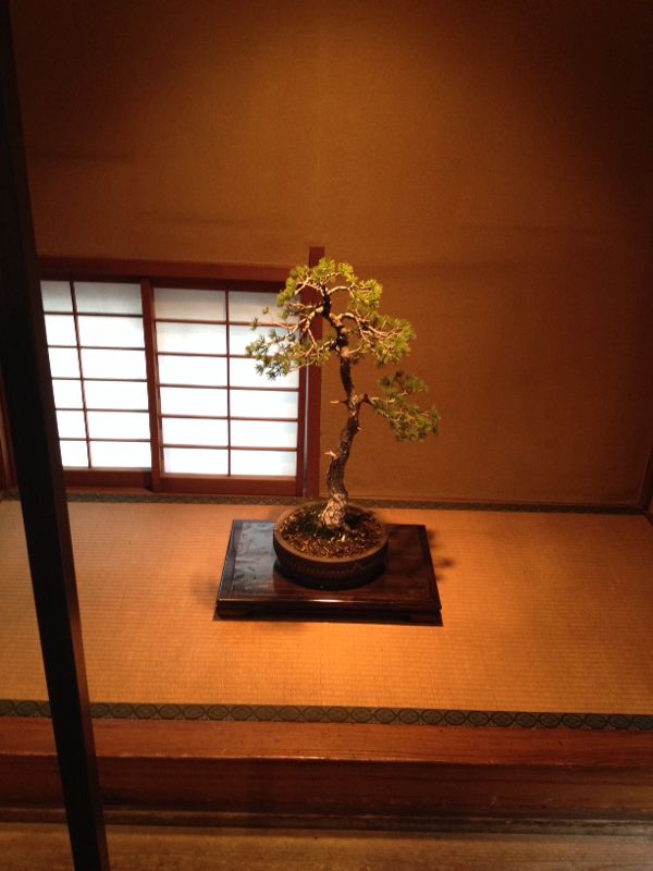 rblog-20140330173900-02.jpg