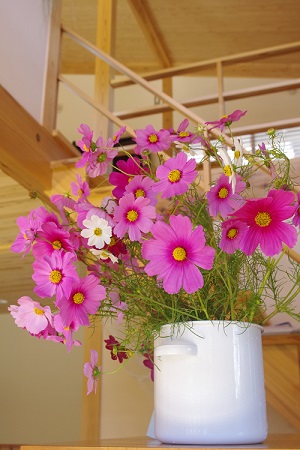 IMGP4583.JPG