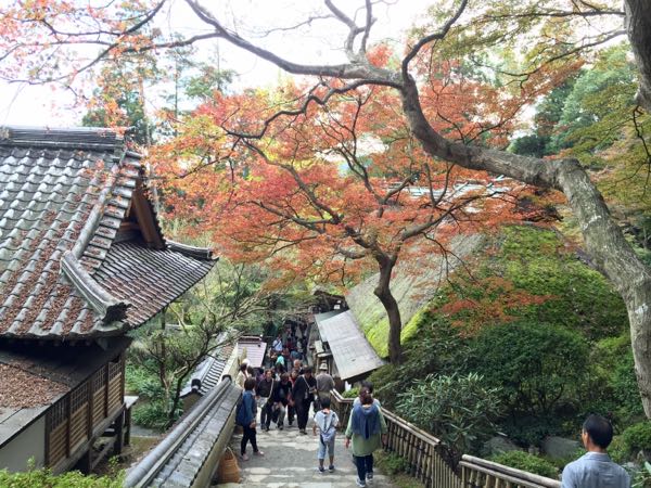 rblog-20151122002101-02.jpg