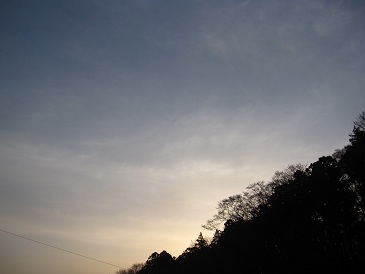 IMG_8041.JPG