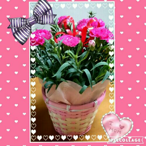 rblog-20160506211609-01.jpg