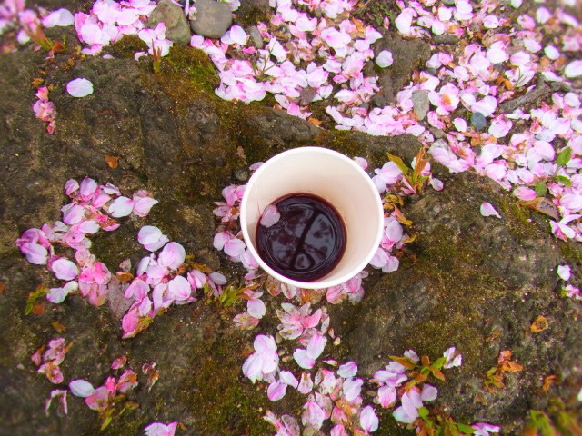 20120413_3.JPG