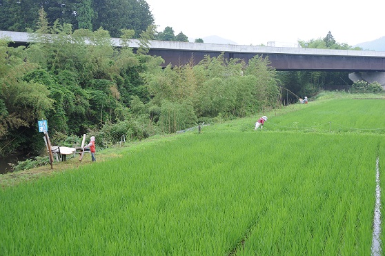2013.6.21 005.JPG