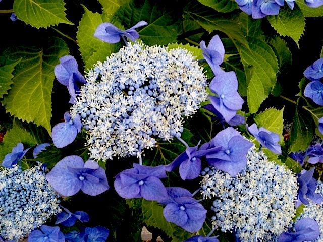 120611_164245.jpg