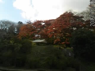曲輪と紅葉