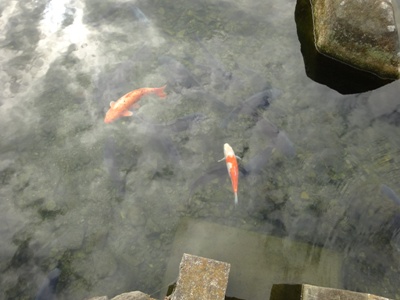 写真4.JPG