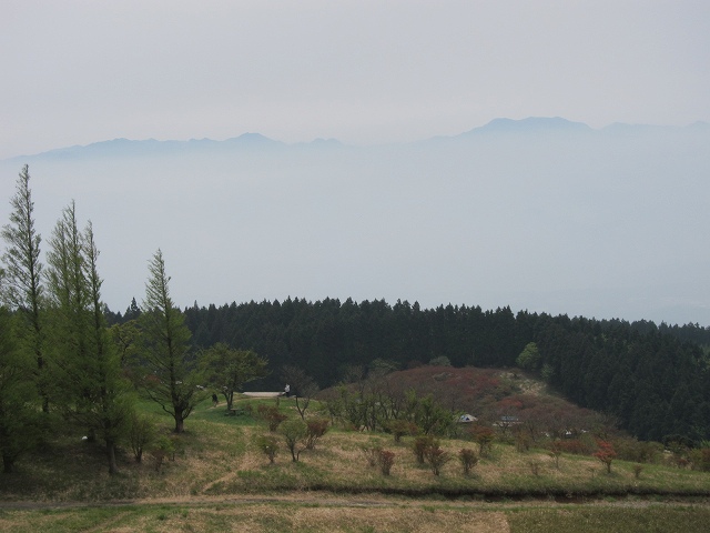 IMG_7297.jpg