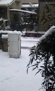 雪４.jpg
