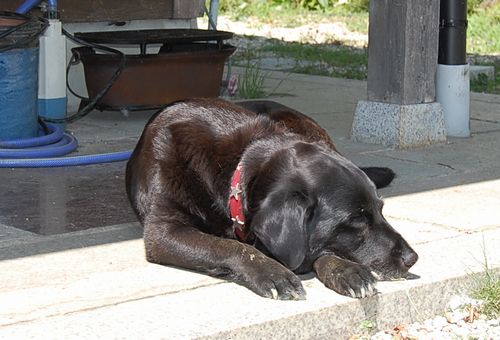DSC_0735.JPG