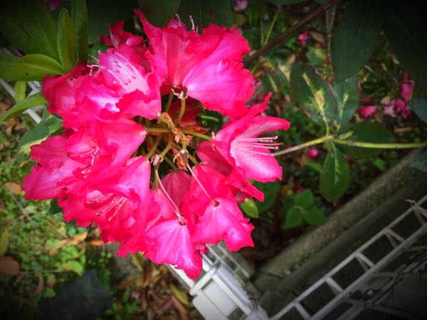 rblog-20160426005907-03.jpg