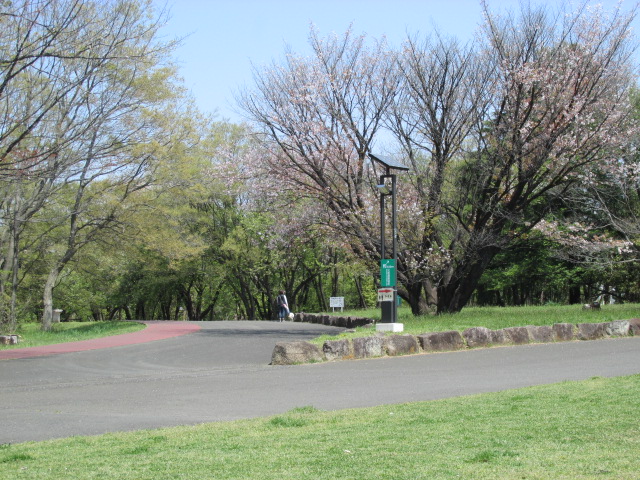 柄ジーパン＆和光樹林公園 260.JPG