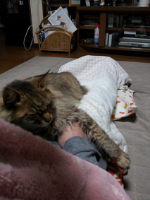20120506_205743.jpg