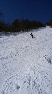 4384.jpg