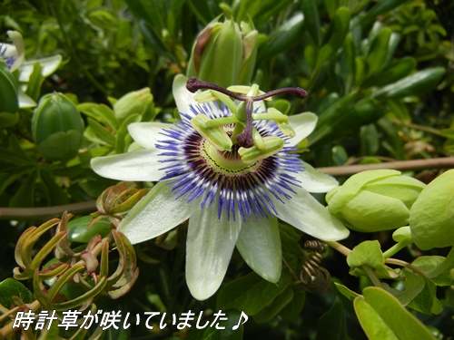 城南島海浜公園にて