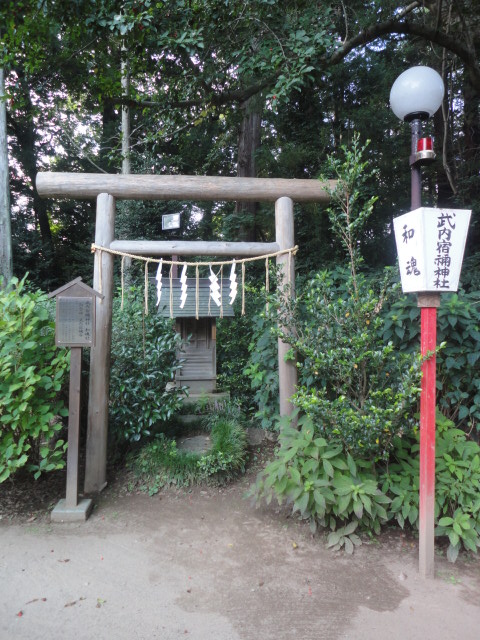 茨城