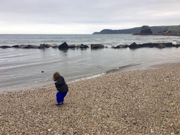 rblog-20190212211348-00.jpg