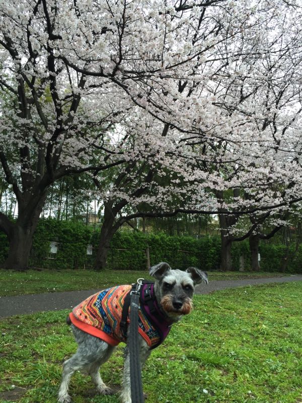 rblog-20160406014919-05.jpg