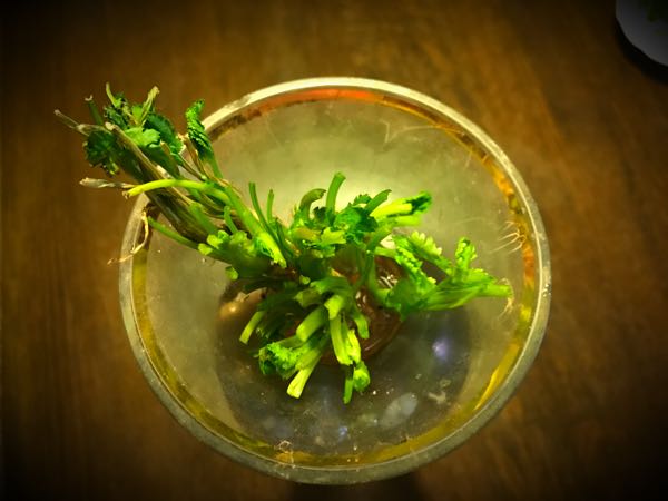 rblog-20161126193451-03.jpg