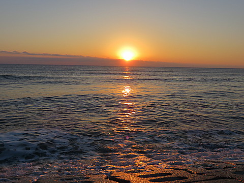 IMG_0863.jpg