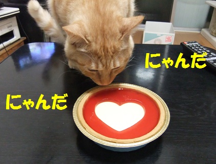 猫チョコ３