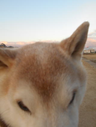 走る4.jpg