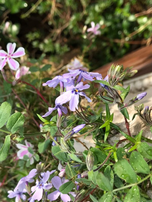 rblog-20190401163907-02.jpg