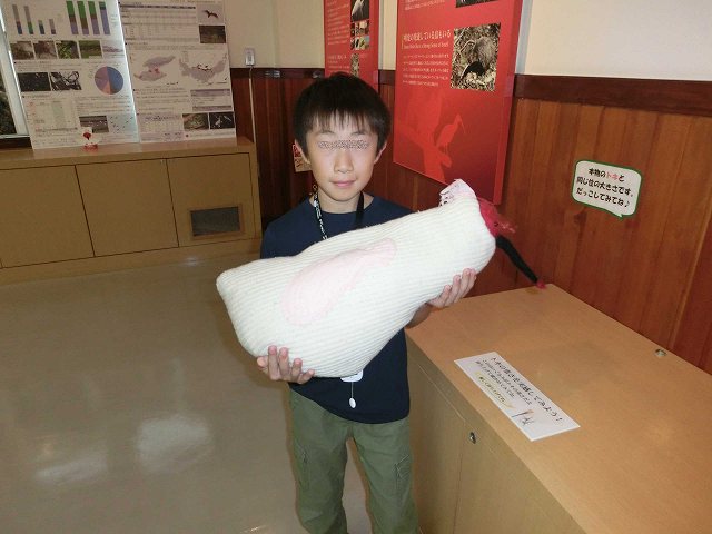 Cimg0087.jpg