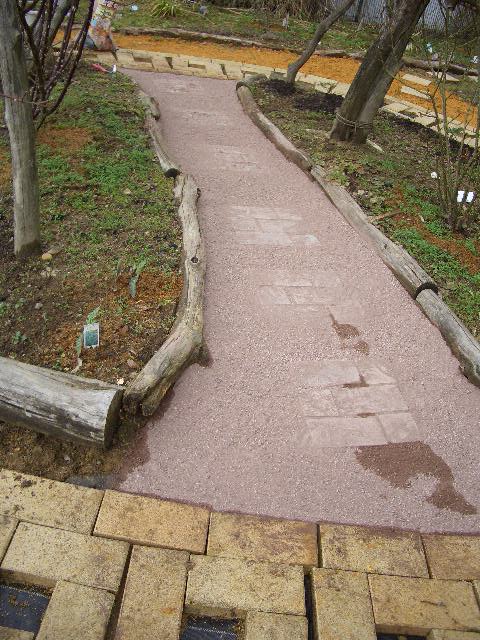 CIMG4779.JPG