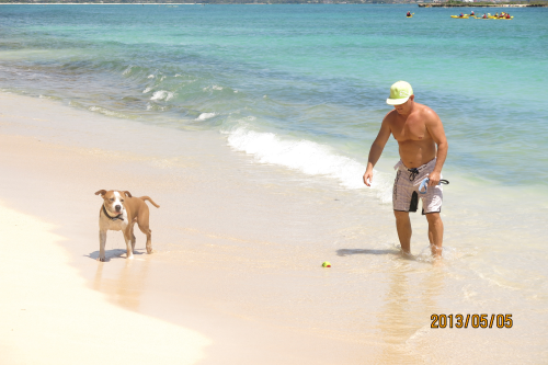 IMG_0491.png