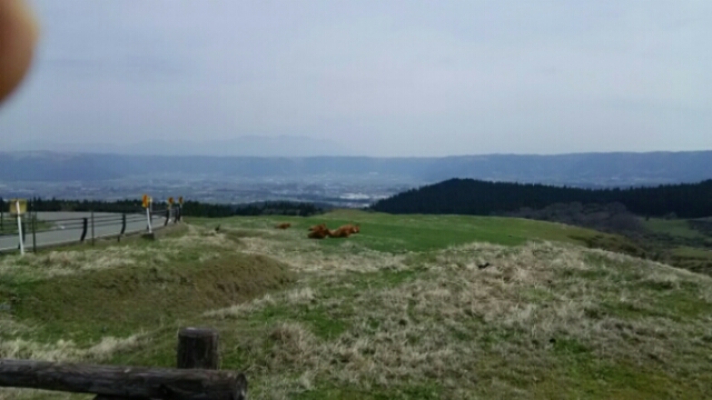 20160412_110954.jpg