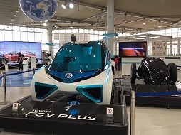 megweb