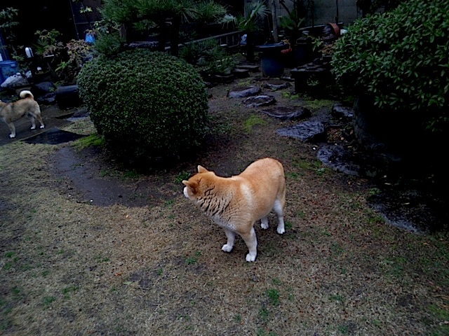 120324_131630.jpg