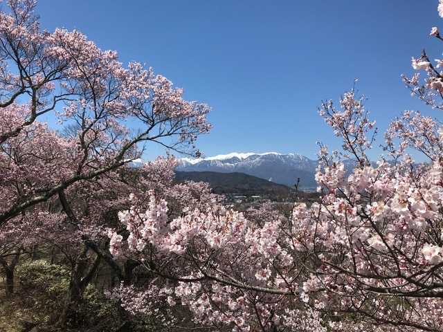 森の中で