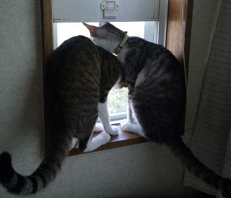 20120626_4.jpg