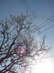 conv0528.JPG